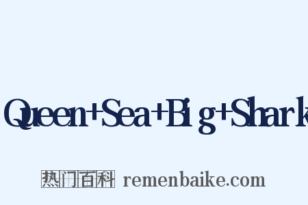 Queen+Sea+Big+Shark是什么意思的图片
